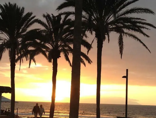 Apartamento Ocean Park Ii Costa Adeje (Tenerife)