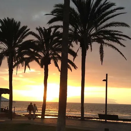 Apartmán Ocean Park Ii Costa Adeje (Tenerife)