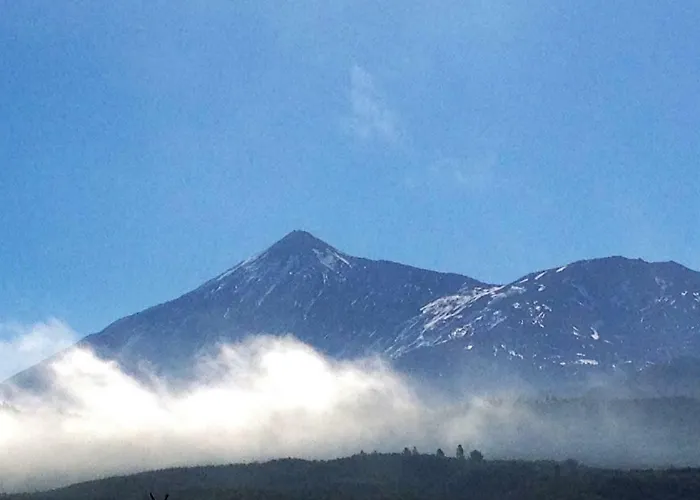 Ocean Park Ii * アデヘ