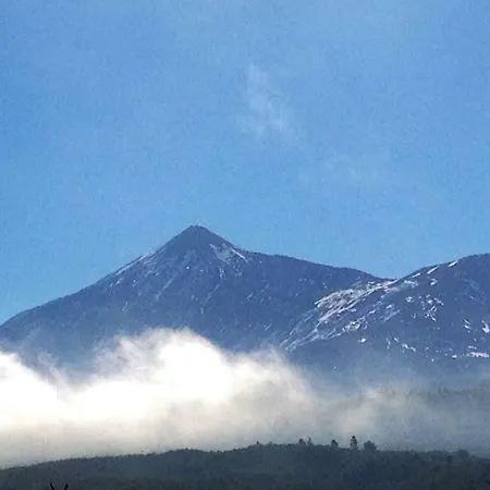 Ocean Park Ii * أذيخي